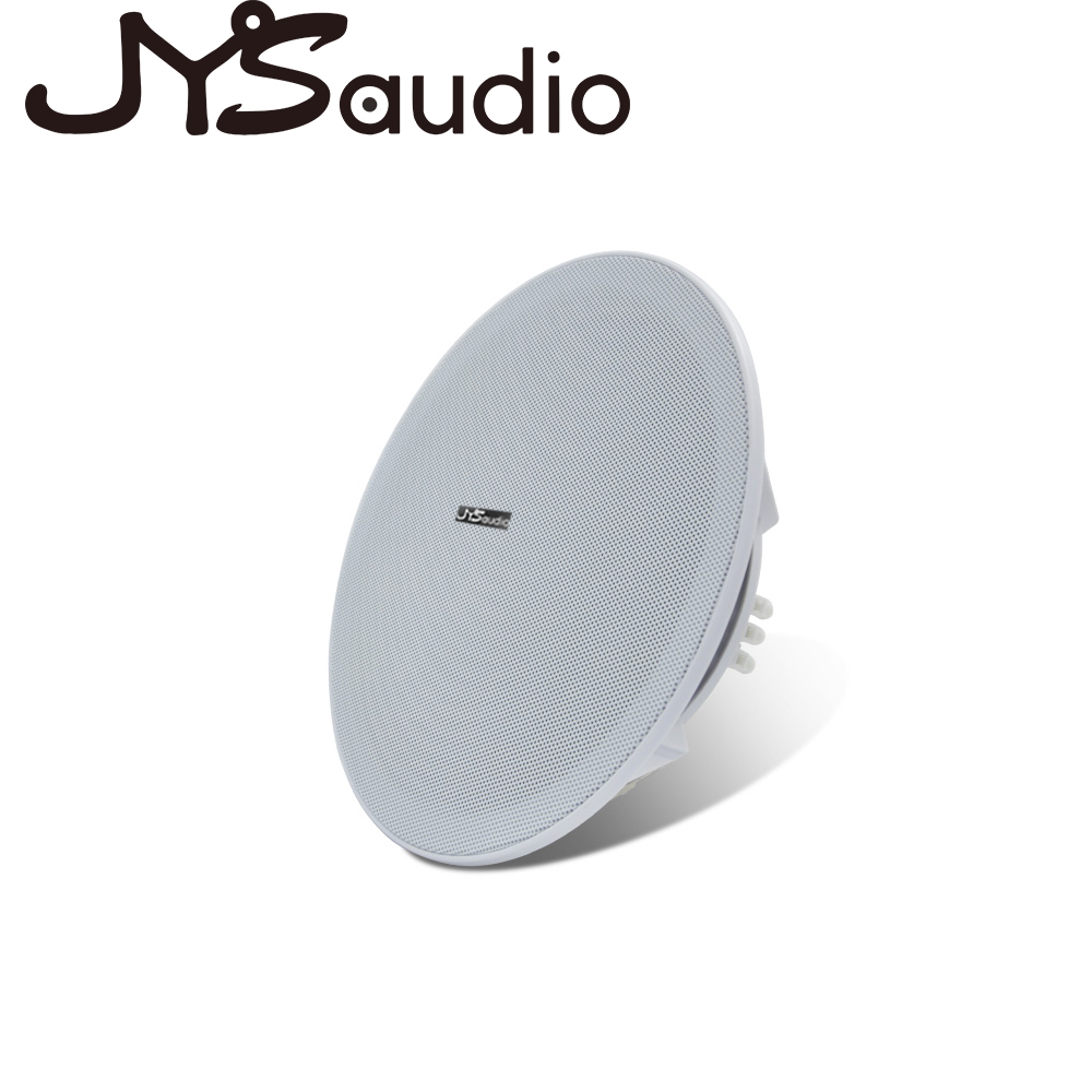 20W plafondluidspreker Stereo  - Audio Music System For Home recensie en prijs